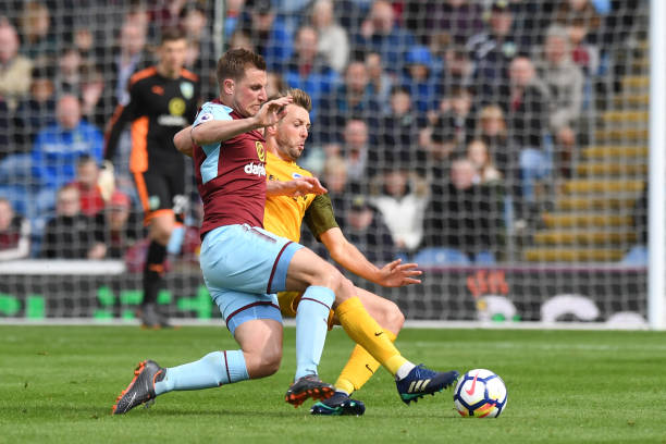 仅是属于她 仅是属于她